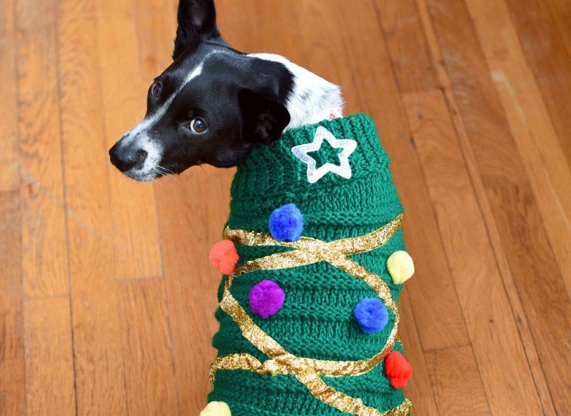 DIY Dog Sweater For Dog