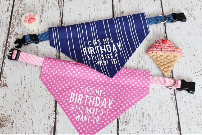 DIY Clean and Scentsible Cricut Dog Bandana