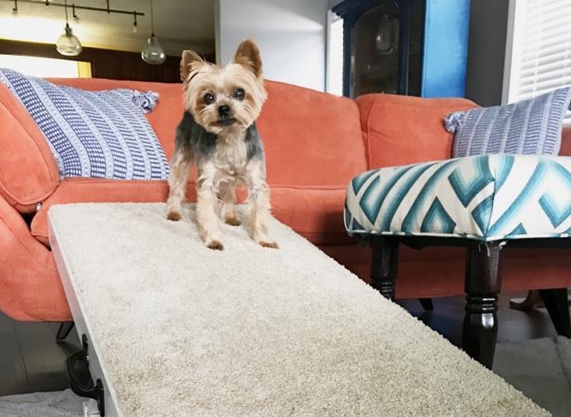 DIY Dog Ramp