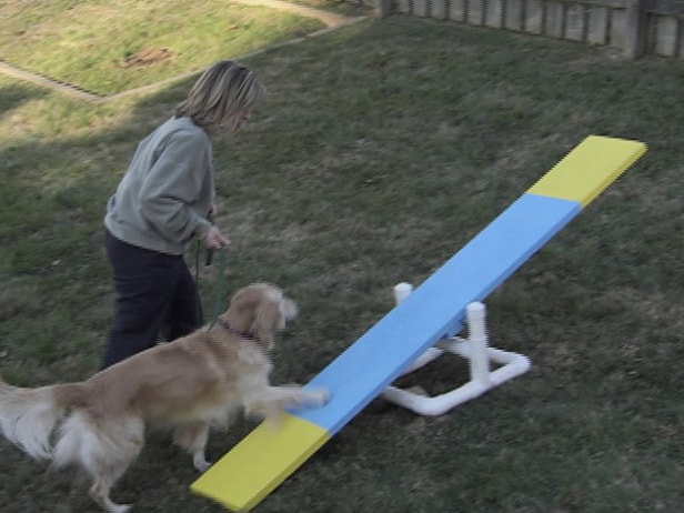 DIY Dog Agility Course