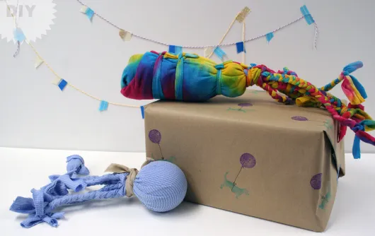 DIY Dog Ball Toy