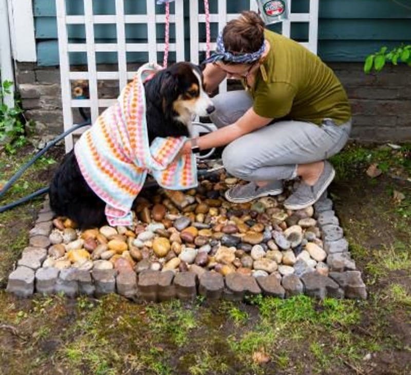 DIY Dog Bath Tubs