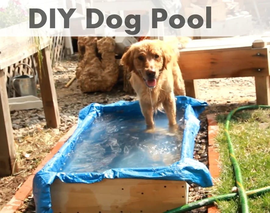 DIY Dog Bath Tubs
