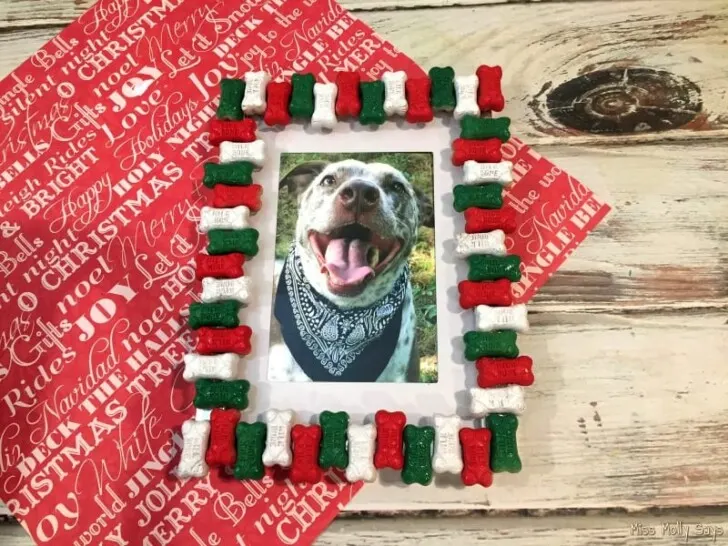 DIY Dog Bone Picture Frame