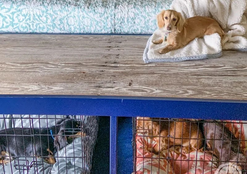 DIY Dog Crate Cover