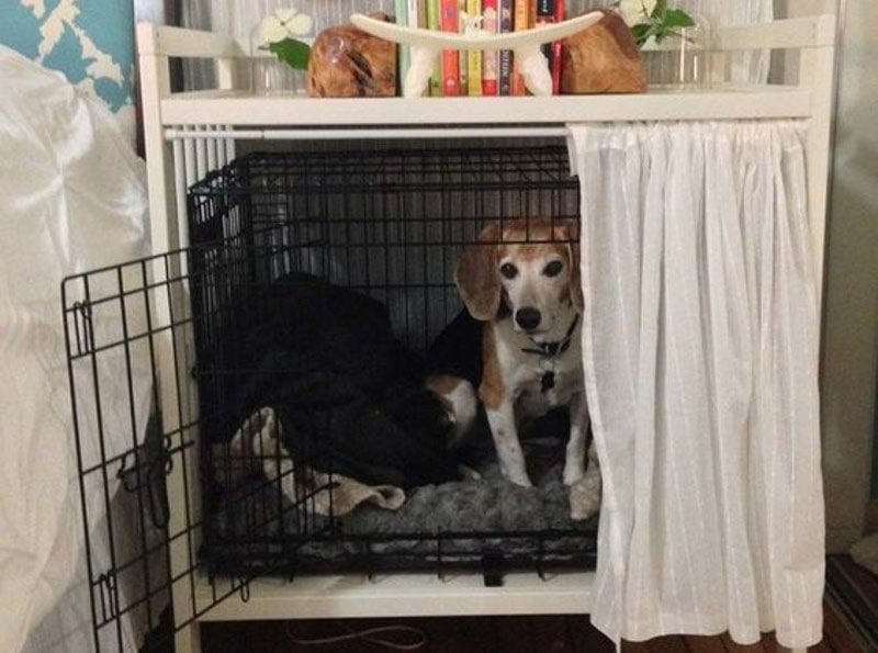 DIY Dog Crate Cover