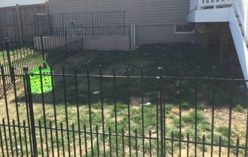 DIY Dog Fences