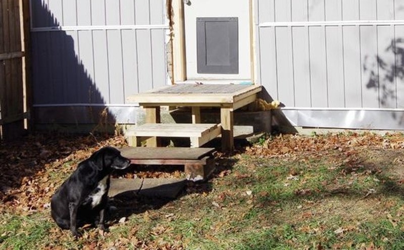 DIY Dog Doors