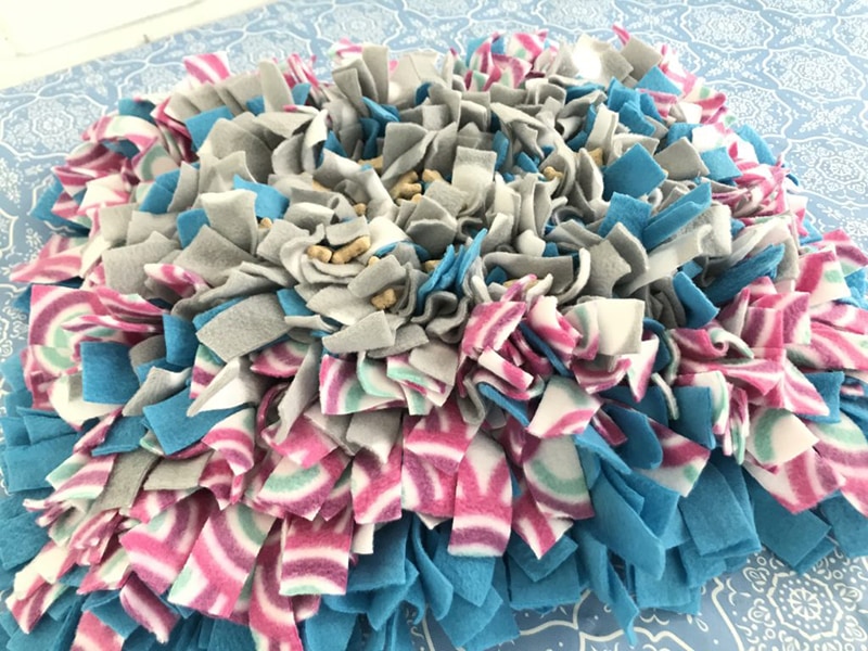 DIY Projects For Your Dog