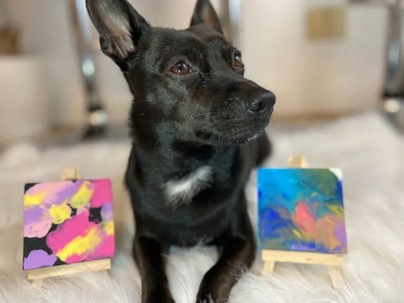 DIY Projects For Your Dog