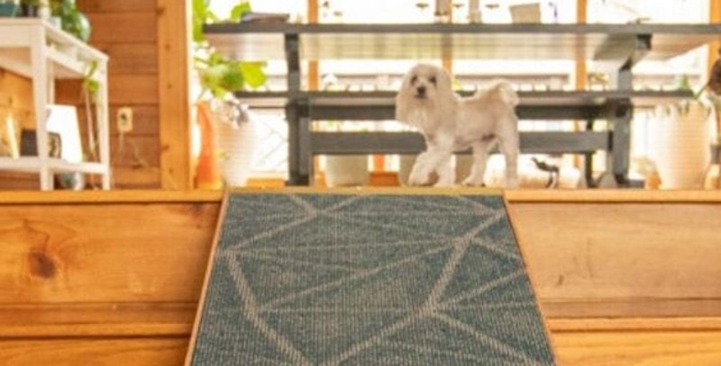 DIY Dog Ramp