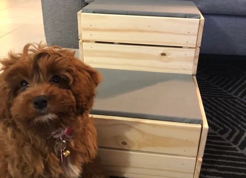 DIY Dog Ramp