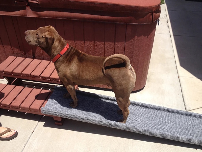 DIY Dog Ramp