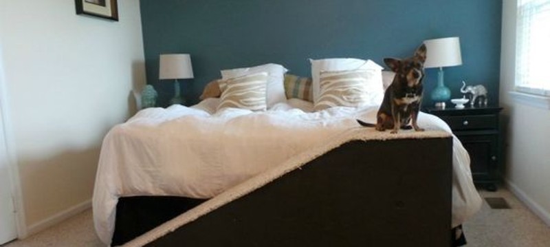 DIY Dog Ramp