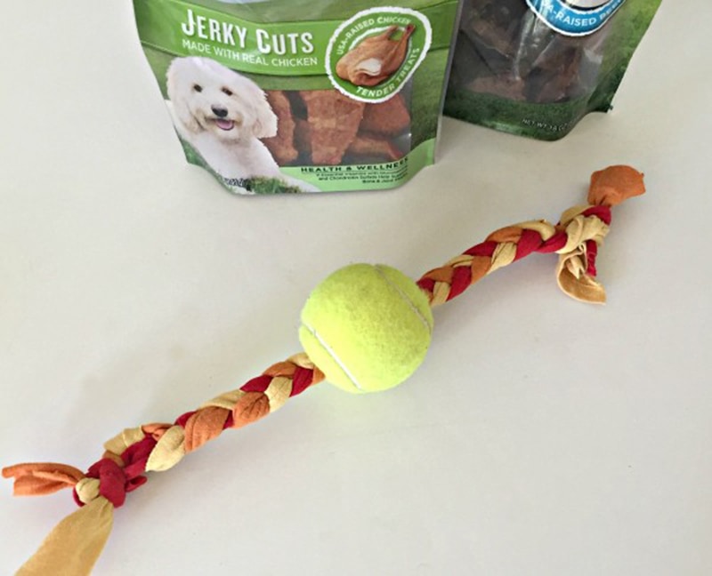 DIY Dog Rope Toy