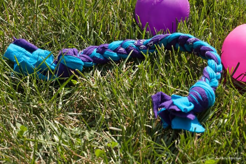 DIY Dog Rope Toy