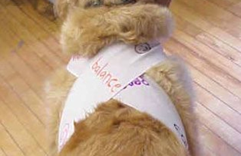 DIY Dog Thundershirt