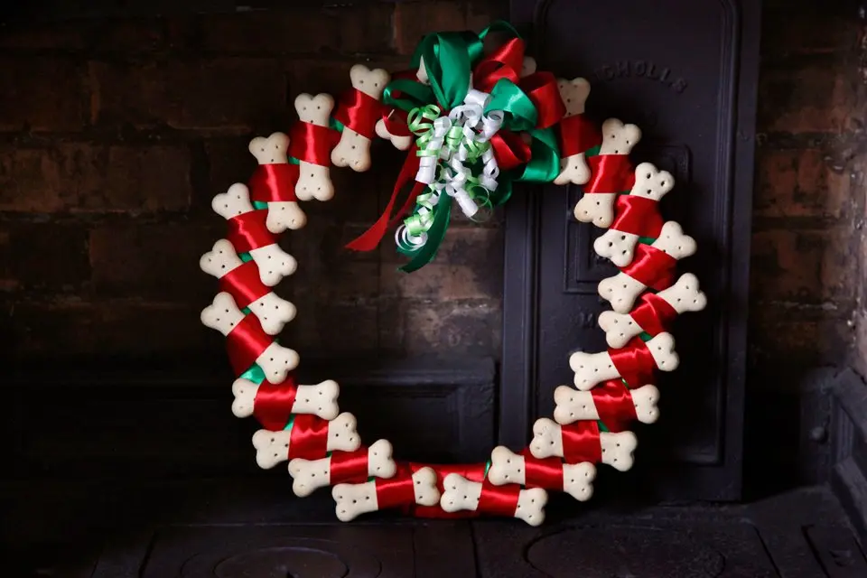 DIY Dog Treat Wreath
