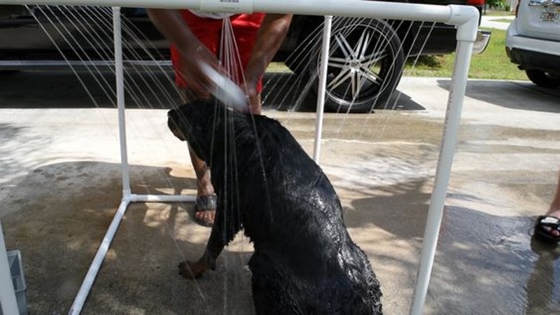 DIY Dog Wash Station