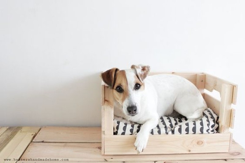 DIY Dog Wood Beds