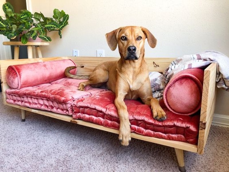 DIY Dog Wood Beds
