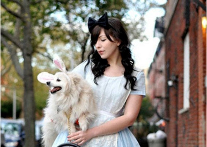 DIY Dog and Owner Costumes
