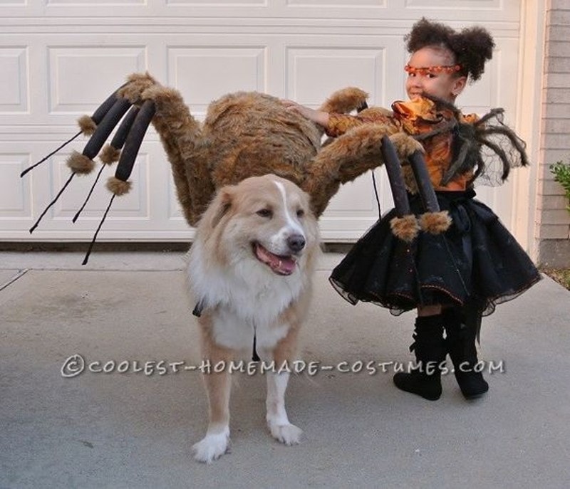 DIY Dog and Owner Costumes