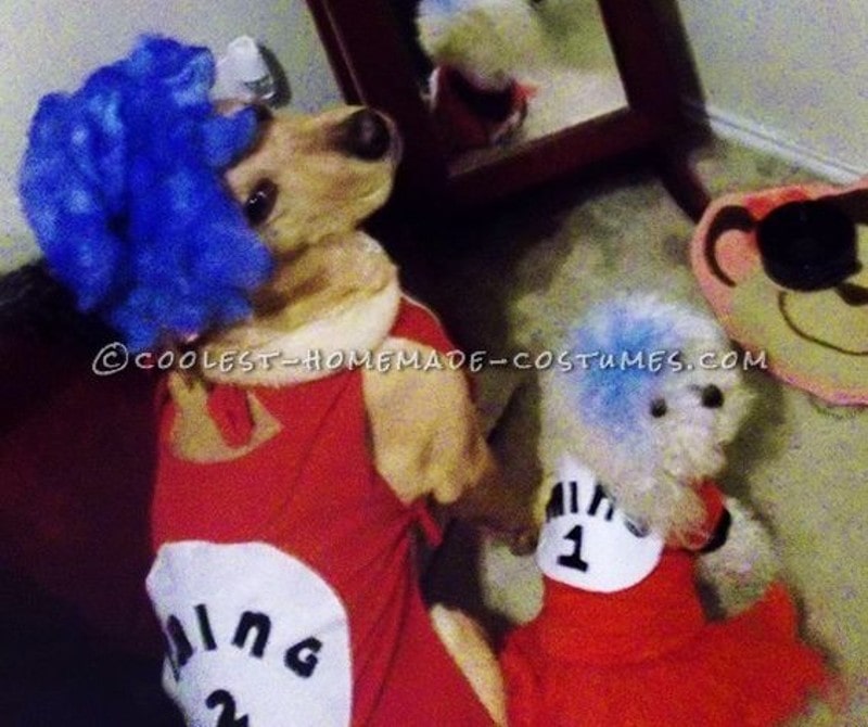 DIY Dog and Owner Costumes