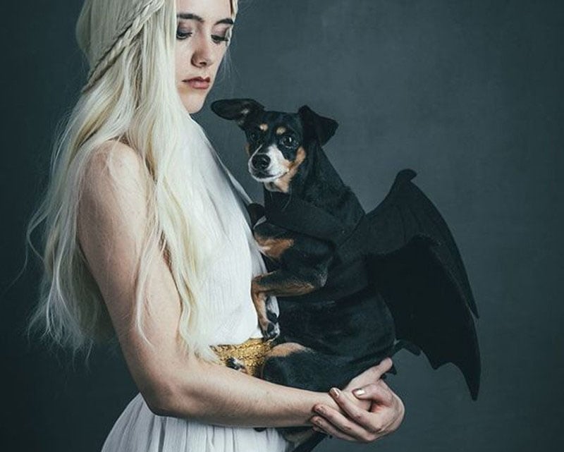 DIY Dog and Owner Costumes