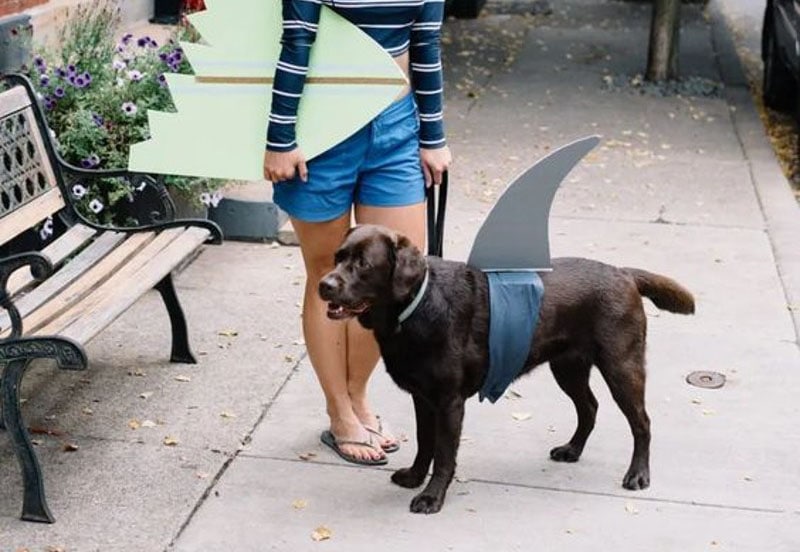 DIY Dog and Owner Costumes