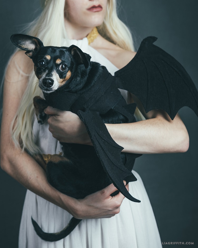 DIY Dragon Wings
