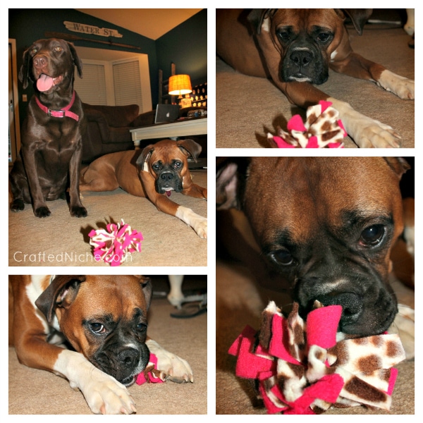 DIY Fleece Puff Dog Toy