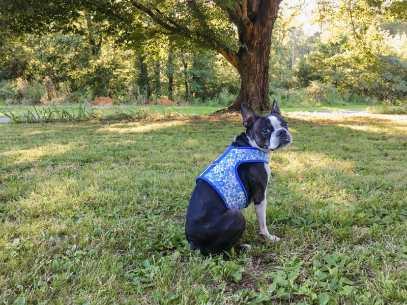 DIY Flexfoam Body Harness
