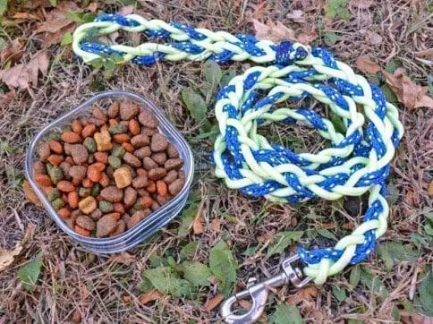 DIY Glow-in-the-Dark Dog Leash Tutorial