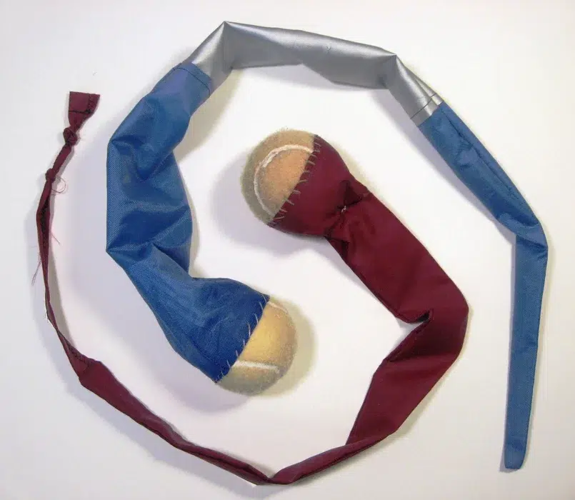 DIY Homemade Foxtail Dog Toy