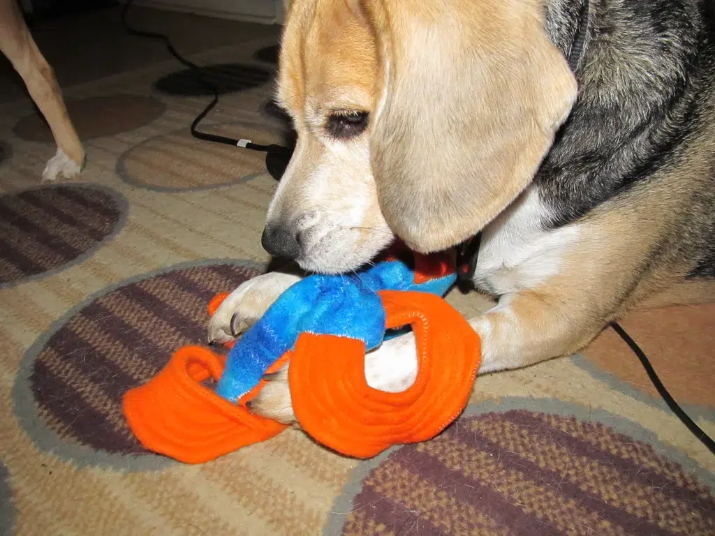 DIY Hopefully Indestructible Stuffed Dog Toy