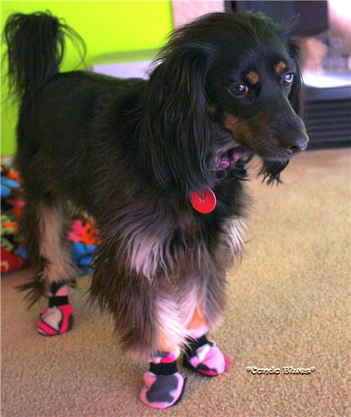DIY How to Make Fleece Dog Boots