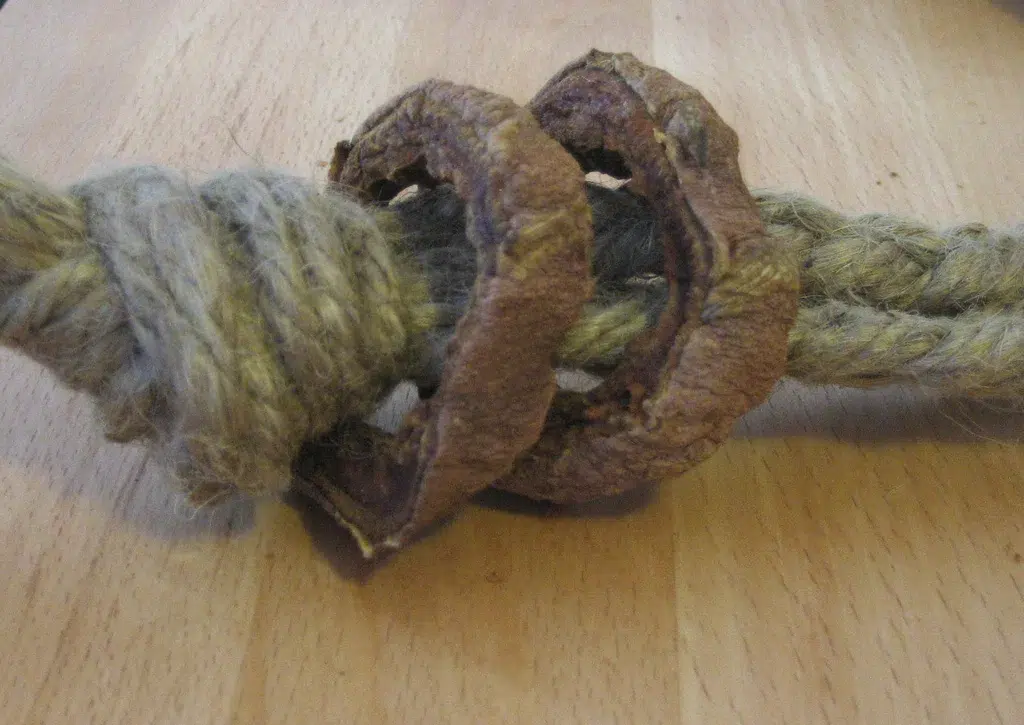 DIY Indestructible Sweet Potato Toy and Treat
