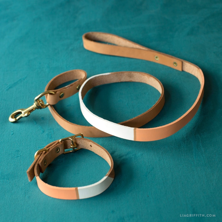 DIY Leather Dog Collar and Leash