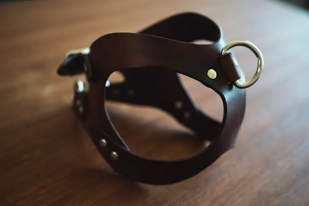 DIY Leather Harness