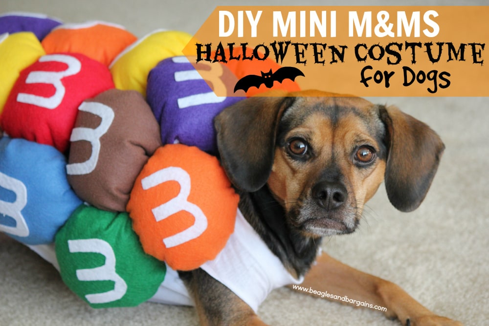 DIY M&Ms