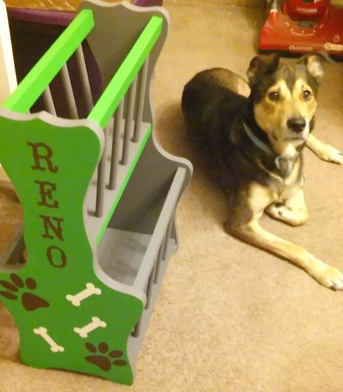 DIY Magazine Rack Dog Toy Box