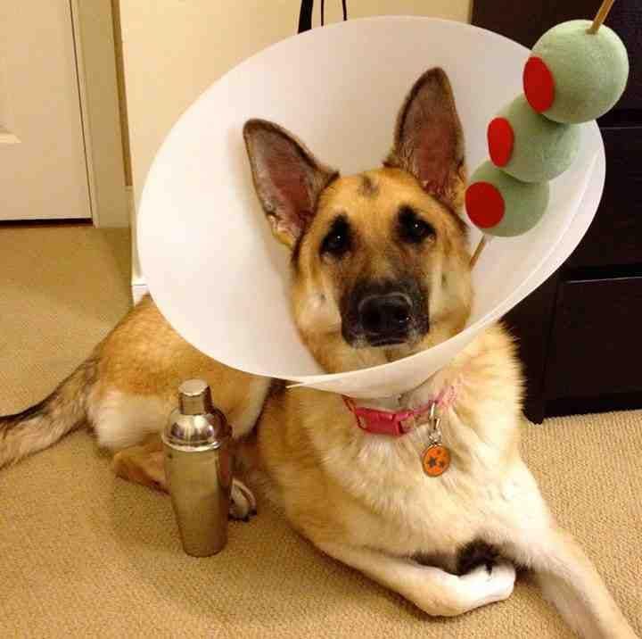 DIY Martini