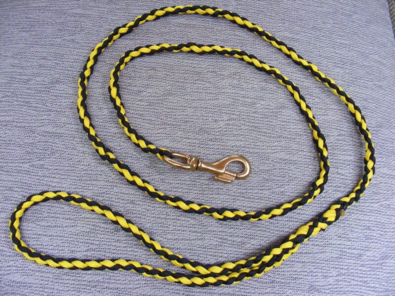 DIY Paracord Dog Leash