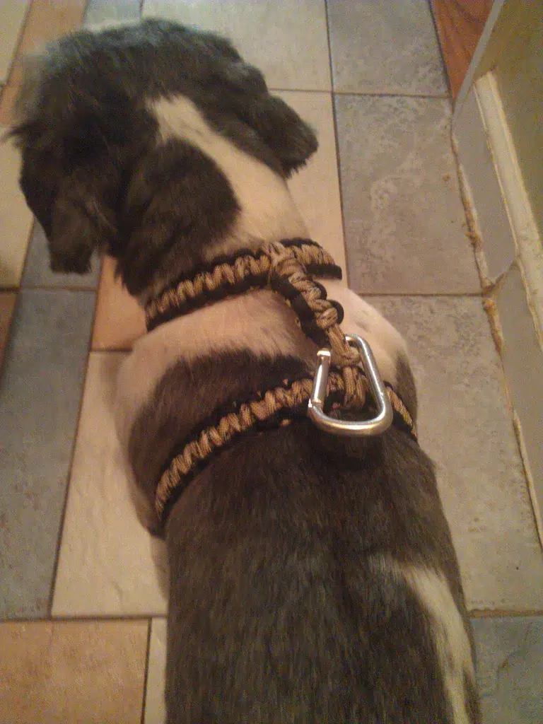 DIY Paracord Harness