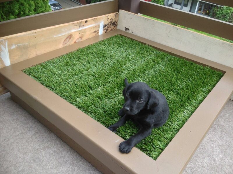 DIY Porch Potty