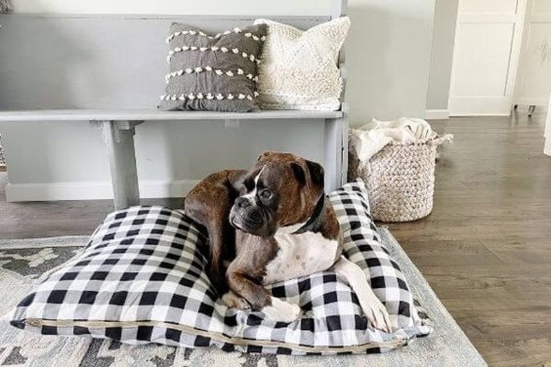 DIY Projects For Your Dog