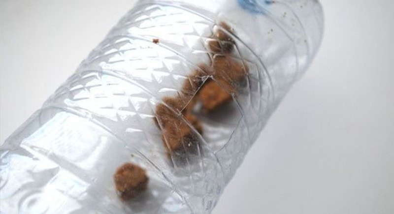 DIY Projects For Your Dog