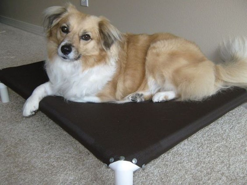 DIY Raised Dog Bed