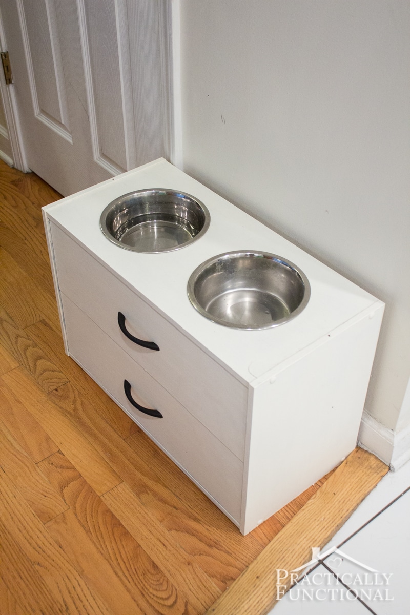 DIY Raised Dog Bowl Stand